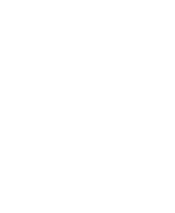 l1